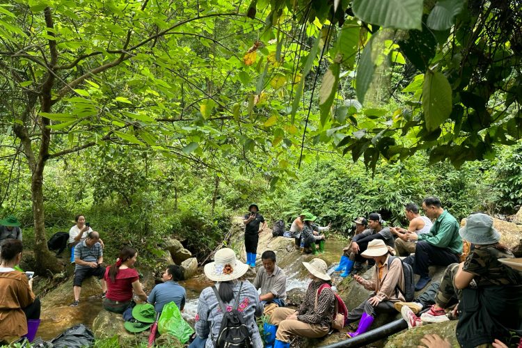 Đào tạo nhận biết cây thuốc nam – Học từ thiên nhiên, làm chủ tri thức bản địa Đào tạo nhận biết cây thuốc nam – Học từ thiên nhiên, làm chủ tri thức bản địa