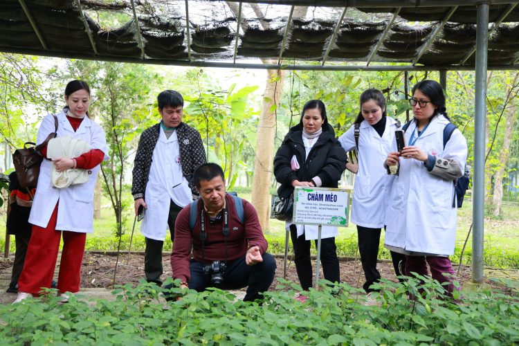 Tuyển sinh liên tục lớp Bào chế Đông dược – Học thực hành chuyên sâu tại Ba Vì Tuyển sinh liên tục lớp Bào chế Đông dược – Học thực hành chuyên sâu tại Ba Vì